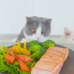Top Cat Foods