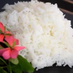 alternative fish food