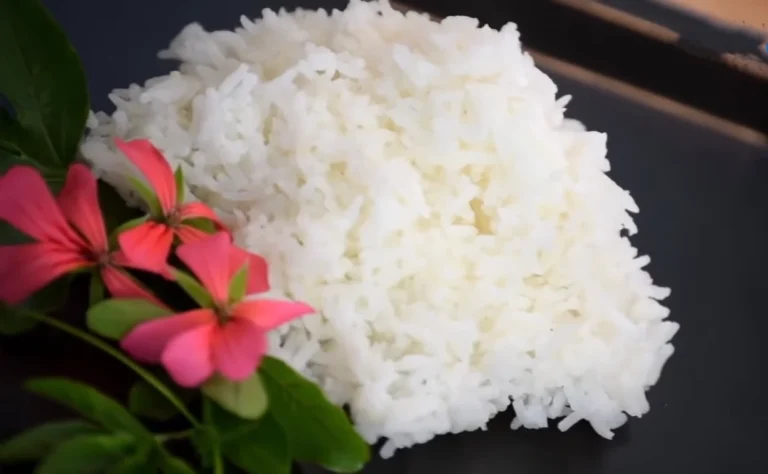 alternative fish food