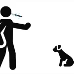 Do Dog Whistles Work